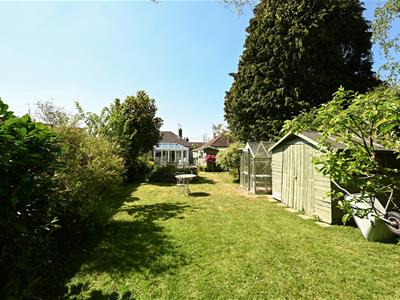 Picture 17